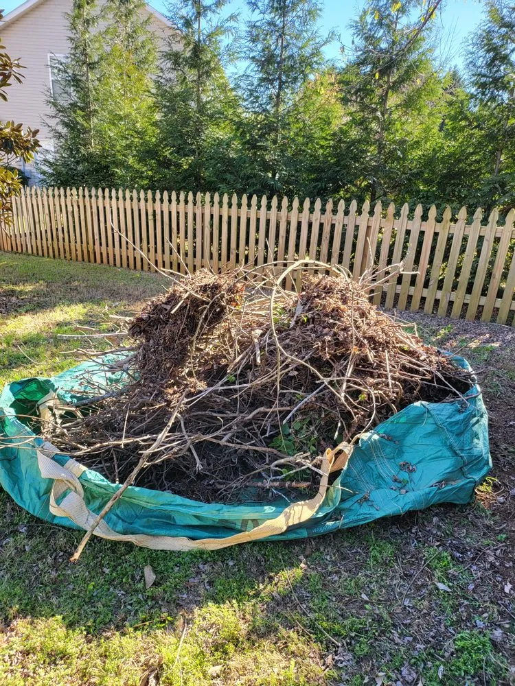 Reliable landscaping services for beautiful yards in Indian Trail, NC by Quality Green Grass