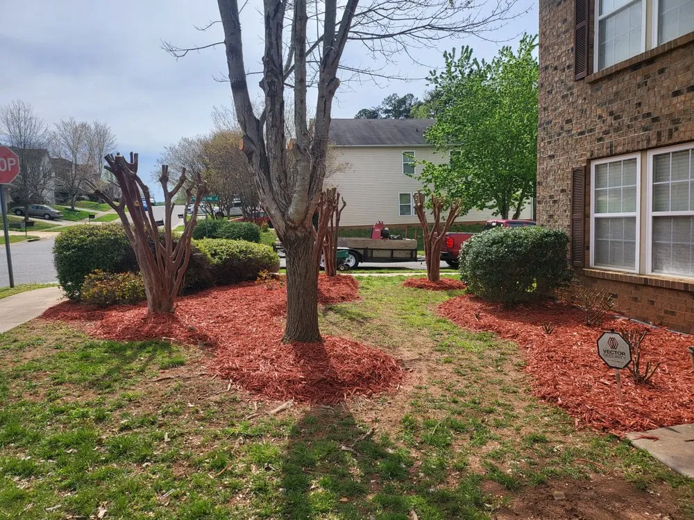Expert garden landscaping for residential properties across Indian Trail, NC - Quality Green Grass