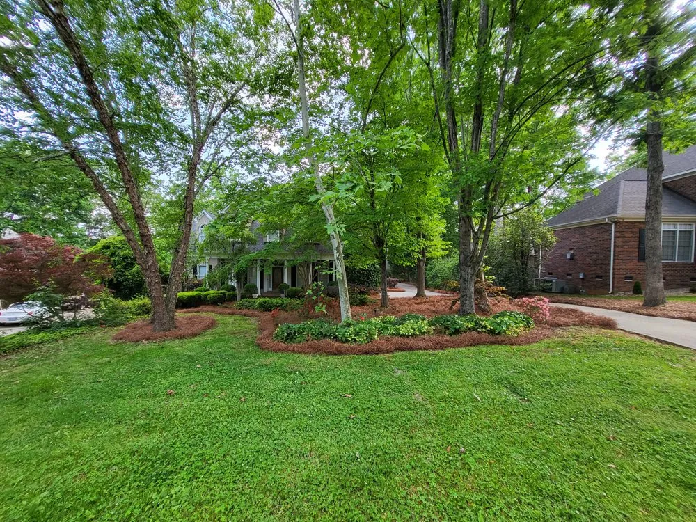 Custom landscaping services for homes across Indian Trail, NC - Quality Green Grass