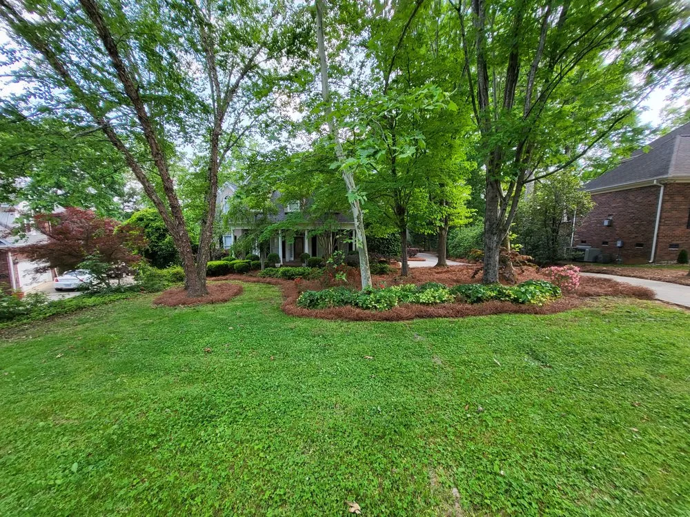 Custom yard maintenance experts serving Indian Trail, NC - Quality Green Grass