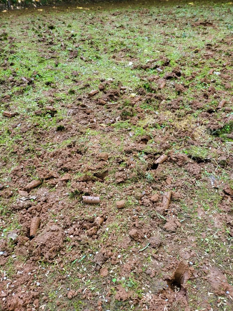 Local yard maintenance near you across Indian Trail, NC - Quality Green Grass