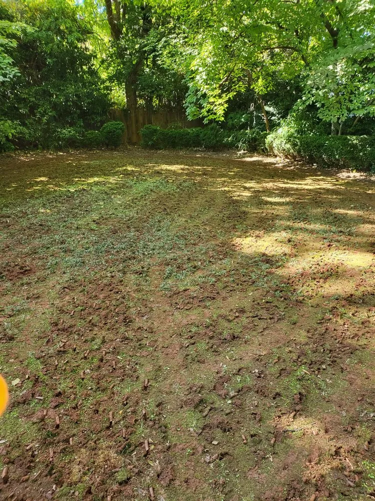 Affordable landscape installation in Indian Trail, NC - Quality Green Grass