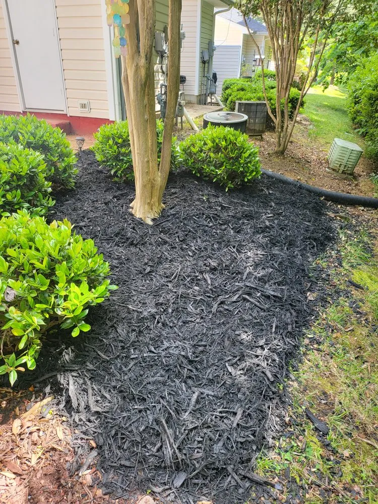 Expert yard cleanup service in Indian Trail, NC by Quality Green Grass
