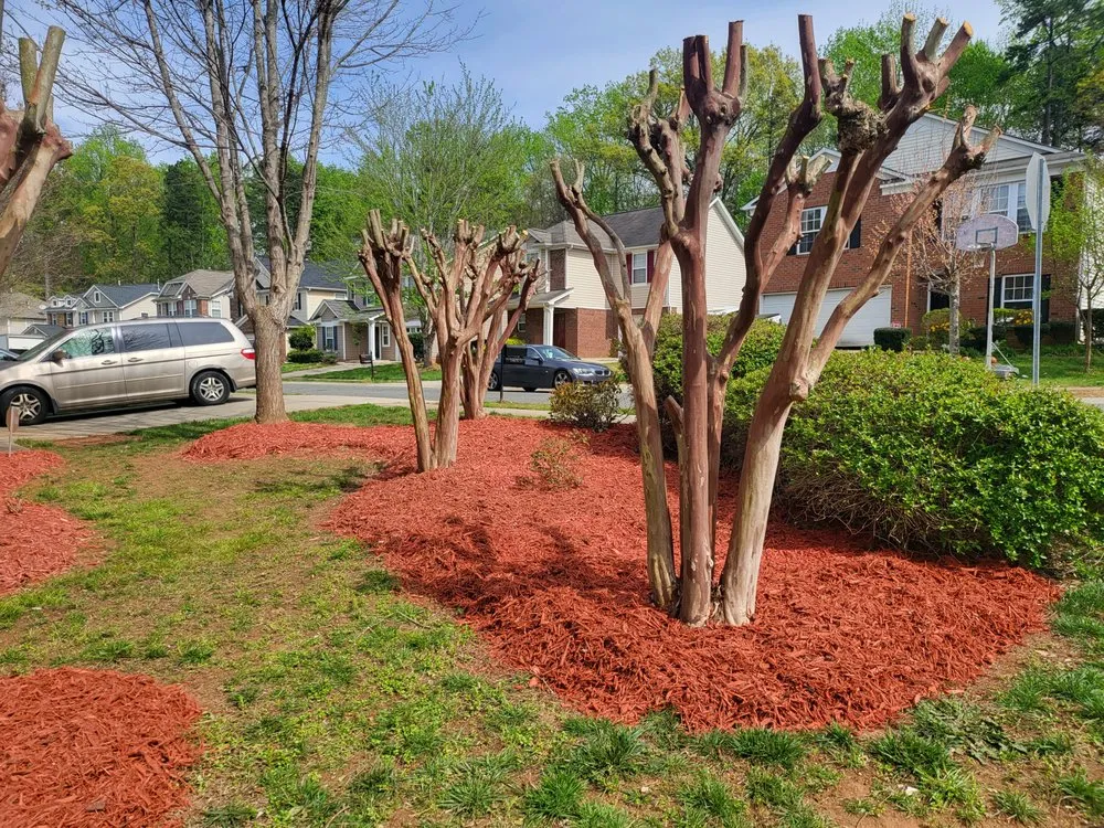 Professional outdoor landscaping experts serving Indian Trail, NC - Quality Green Grass