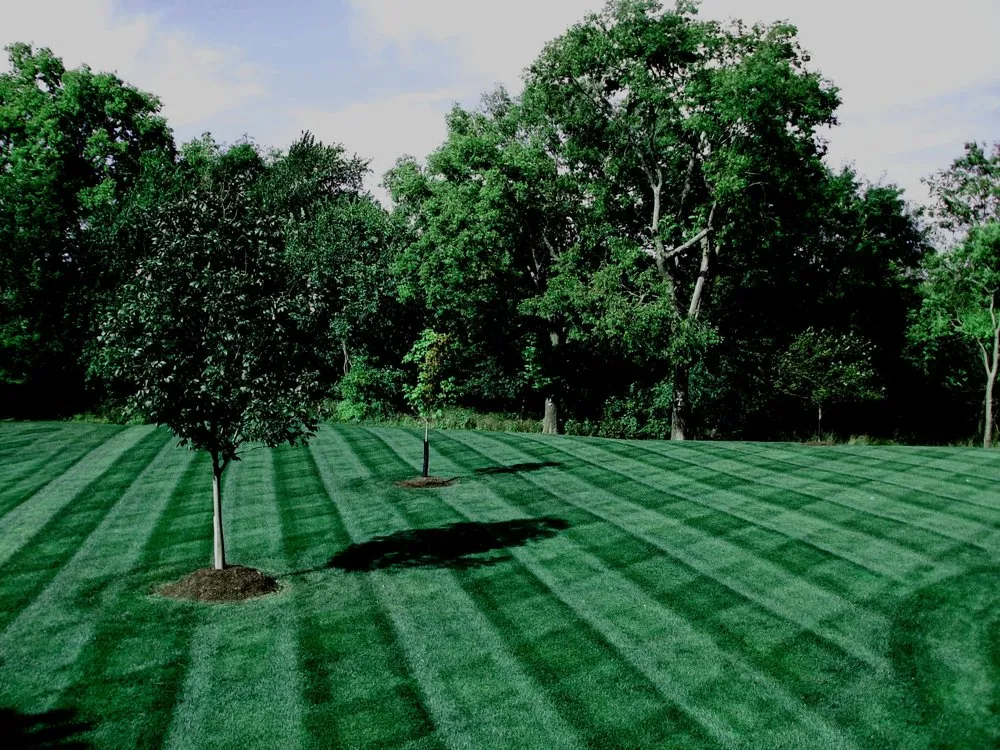 Top-rated yard maintenance experts serving Indian Trail, NC - Quality Green Grass