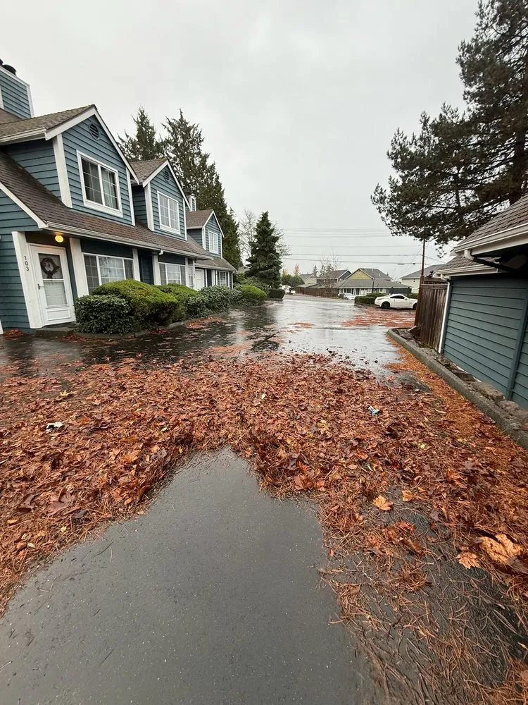 Reliable residential landscaping for outdoor upgrades in Woodinville, WA by Quality Green Lands