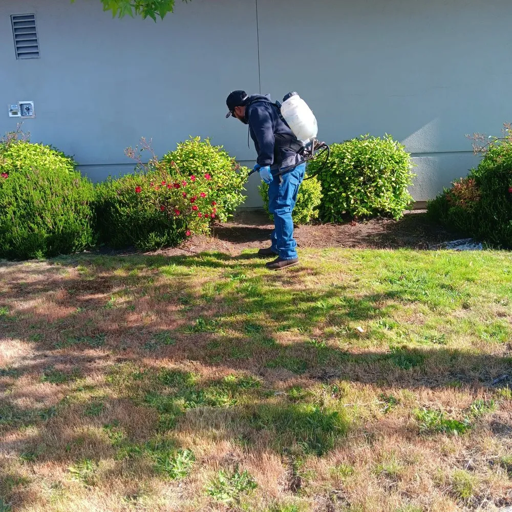 Custom garden landscaping in Woodinville, WA - Quality Green Lands