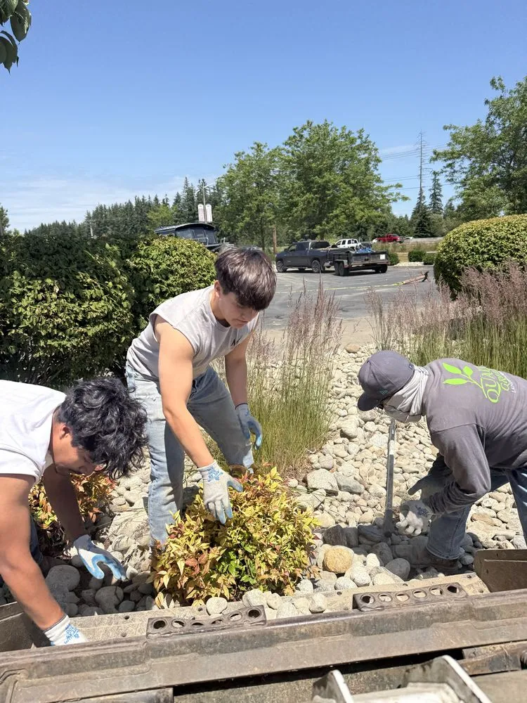 Professional yard maintenance in Woodinville, WA - Quality Green Lands