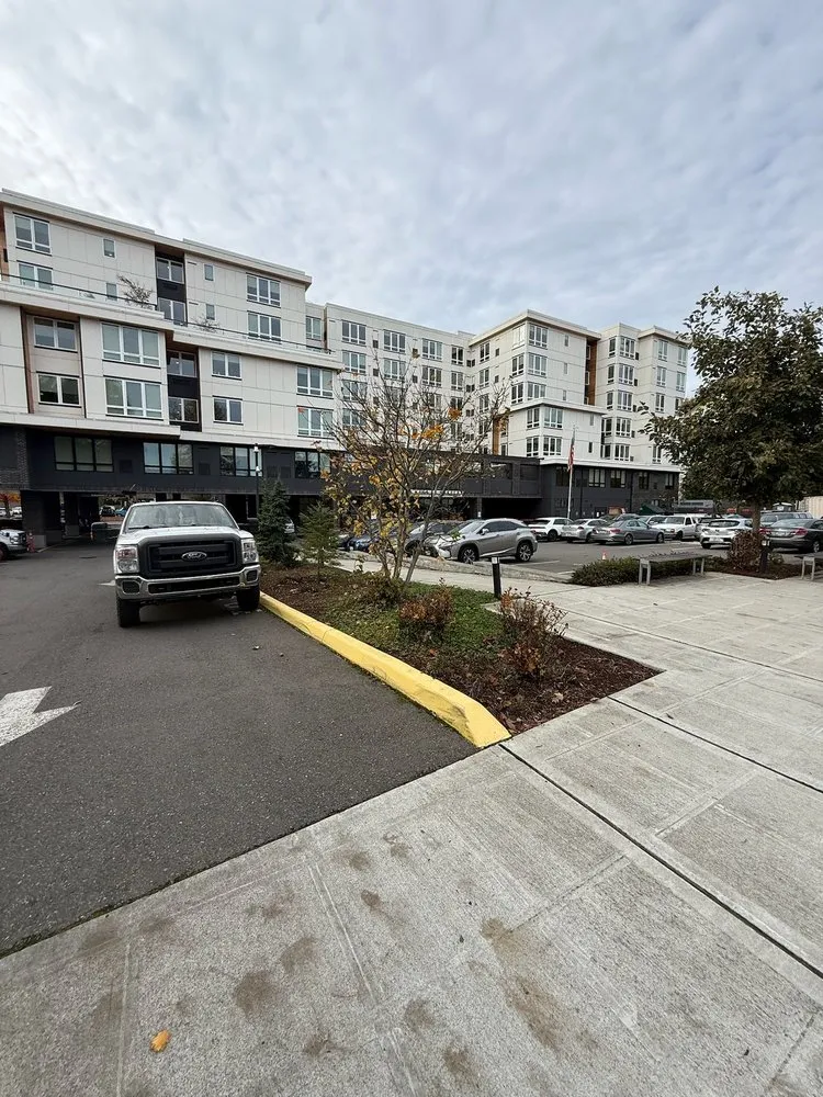 Top-rated yard cleanup service in Woodinville, WA by Quality Green Lands