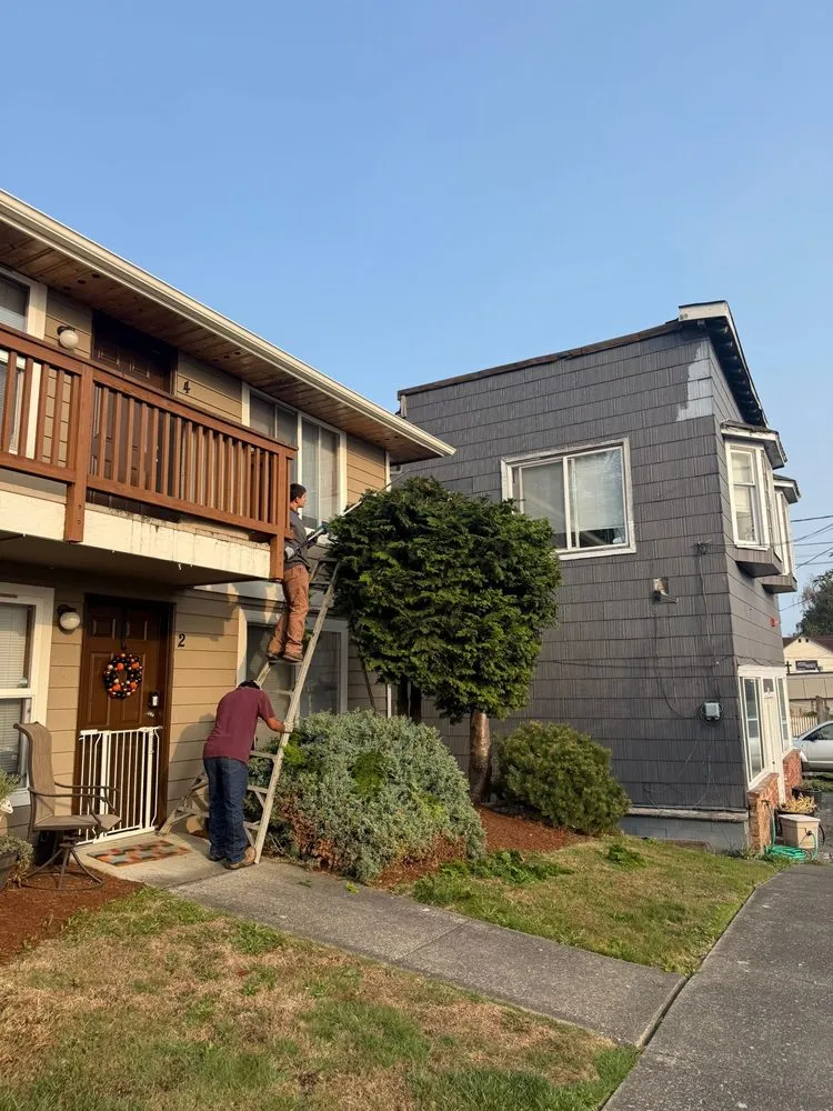 Trusted outdoor landscaping experts serving Woodinville, WA - Quality Green Lands