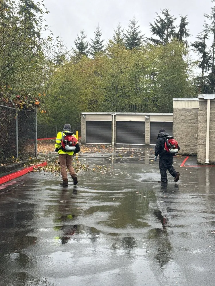 Trusted lawn care service experts serving Woodinville, WA - Quality Green Lands