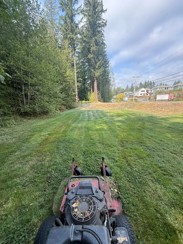 Trusted yard cleanup service with custom design in Woodinville, WA by Quality Green Lands