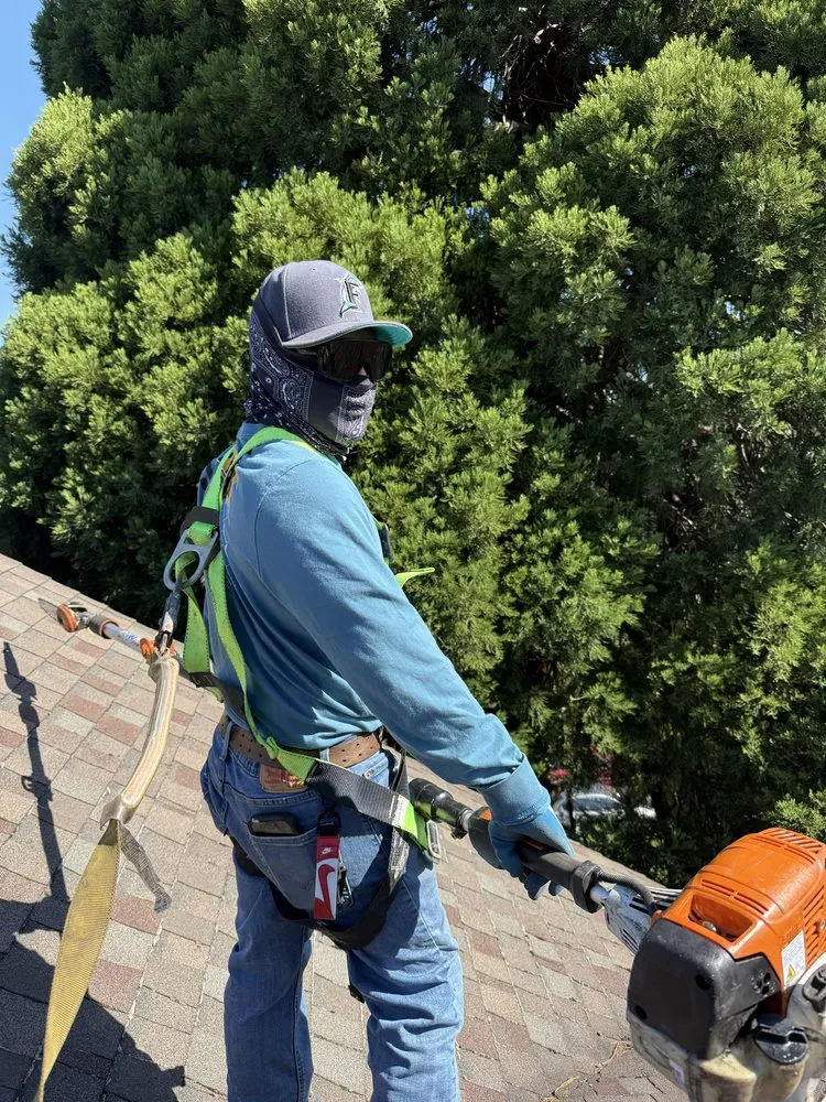 Top-rated lawn care service for beautiful yards in Woodinville, WA by Quality Green Lands