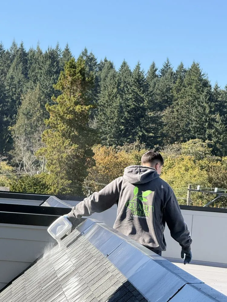 Affordable landscaping services in Woodinville, WA - Quality Green Lands