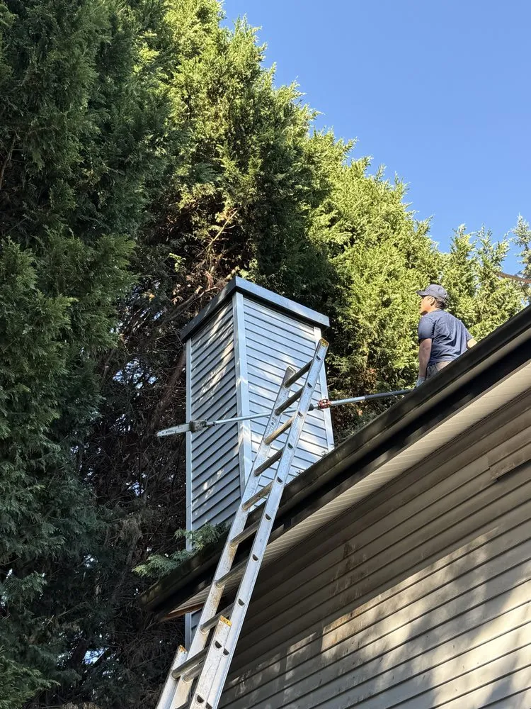 Custom yard maintenance experts serving Woodinville, WA - Quality Green Lands