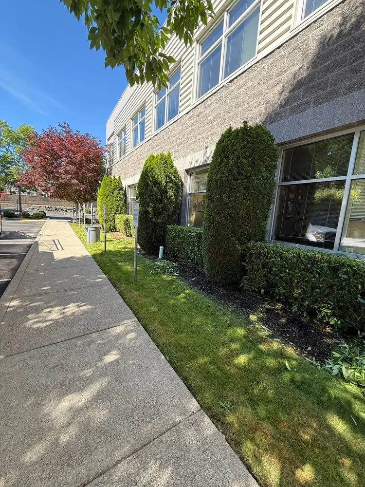 Professional lawn care service in Woodinville, WA - Quality Green Lands
