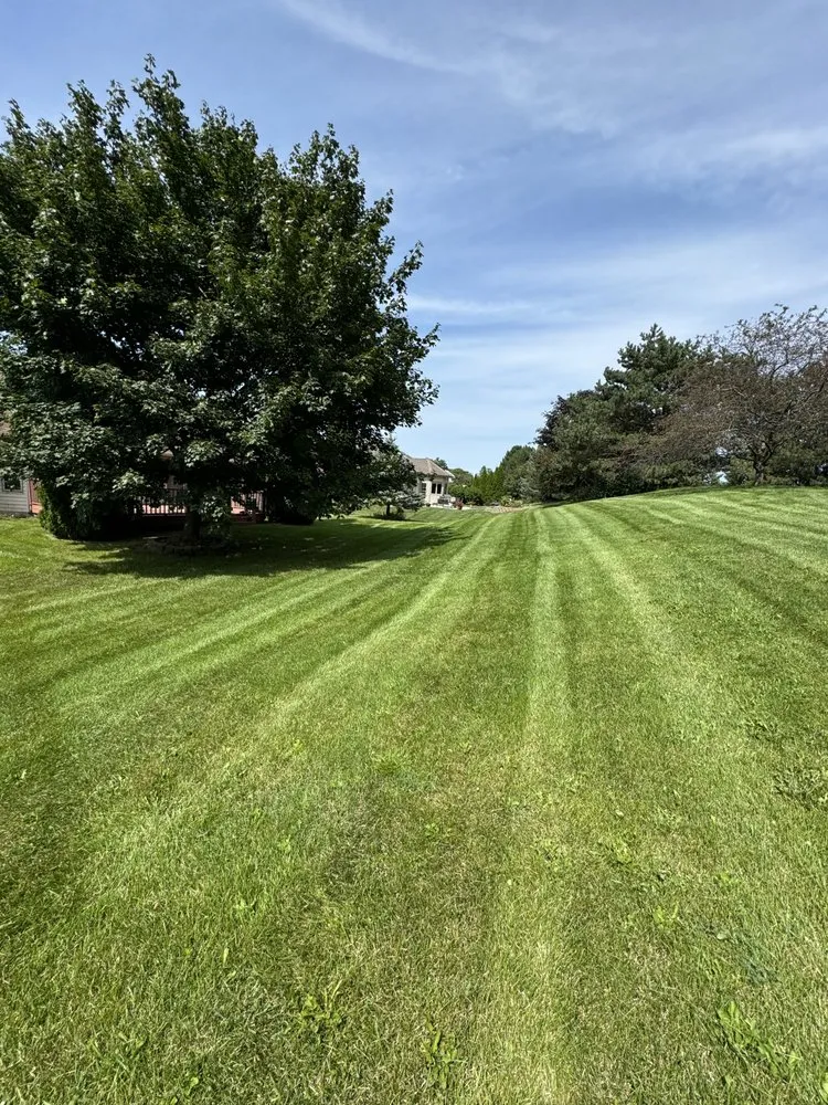 Expert lawn mowing service near you in Milwaukee, WI by Quality Green Landscaping