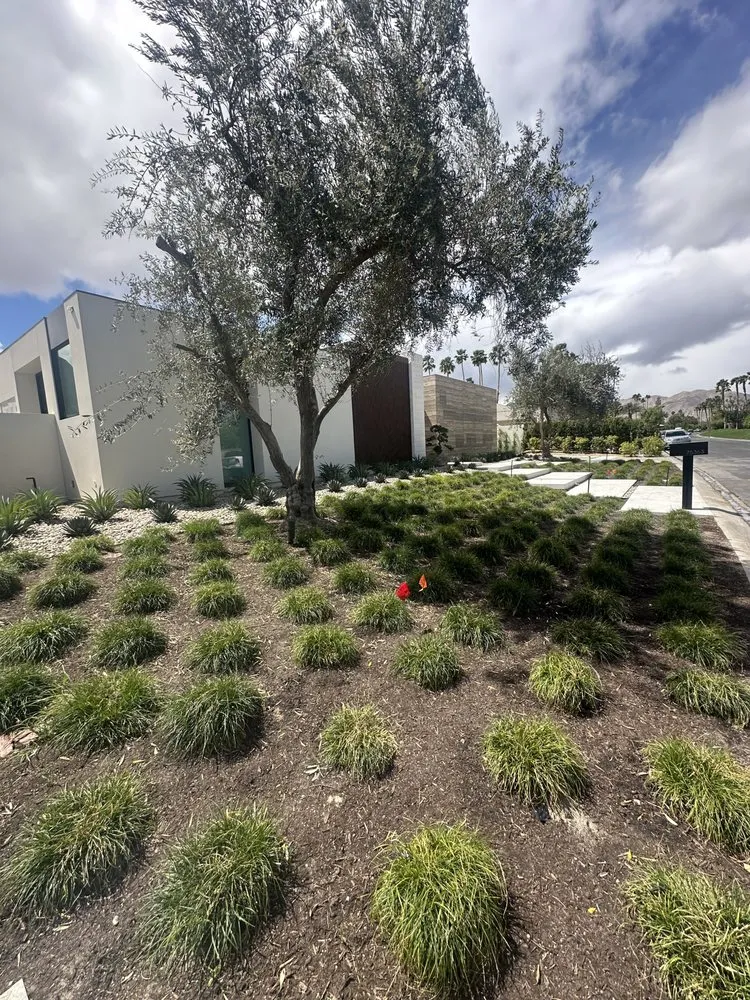 Expert lawn care service near you in Thousand Palms, CA by Quality Green Landscaping