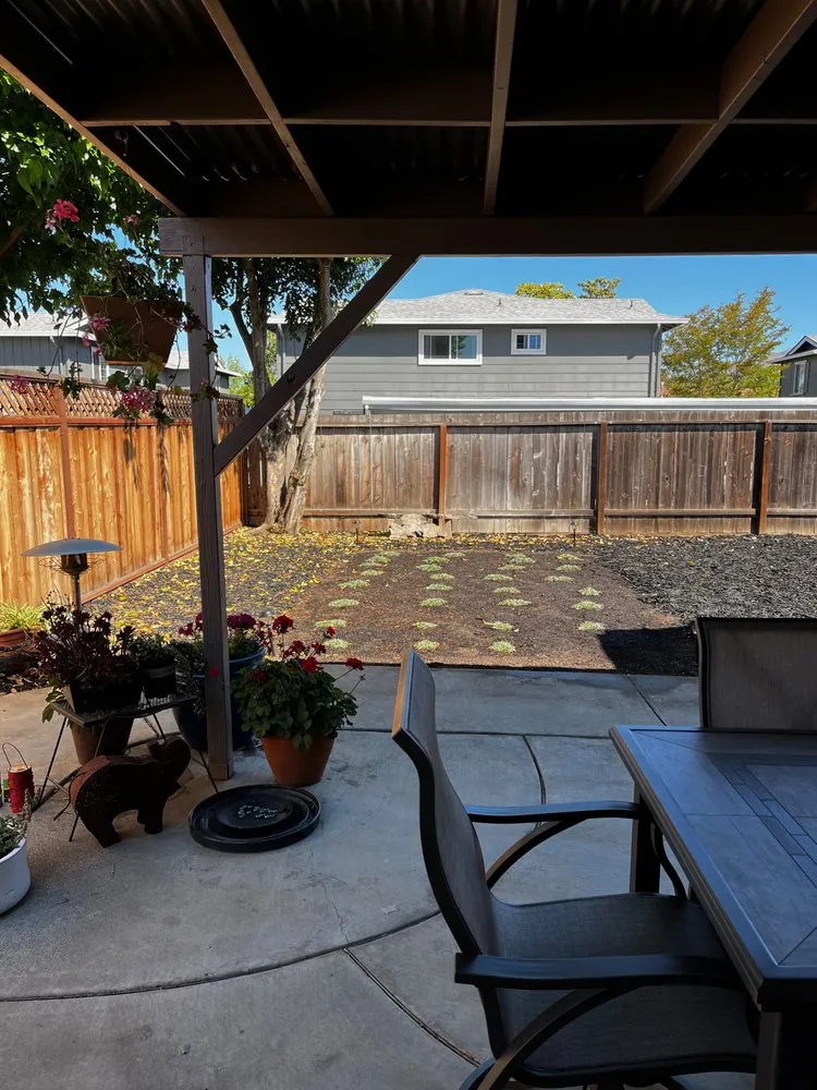 Reliable landscape design in Los Altos, CA by Quality Green