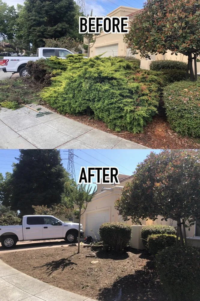 Professional residential landscaping for year-round maintenance across Los Altos, CA - Quality Green