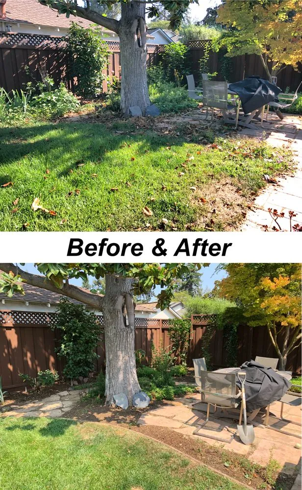 Top-rated lawn care service for year-round maintenance in Los Altos, CA by Quality Green