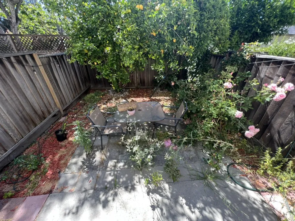 Local yard maintenance for residential properties across Los Altos, CA - Quality Green