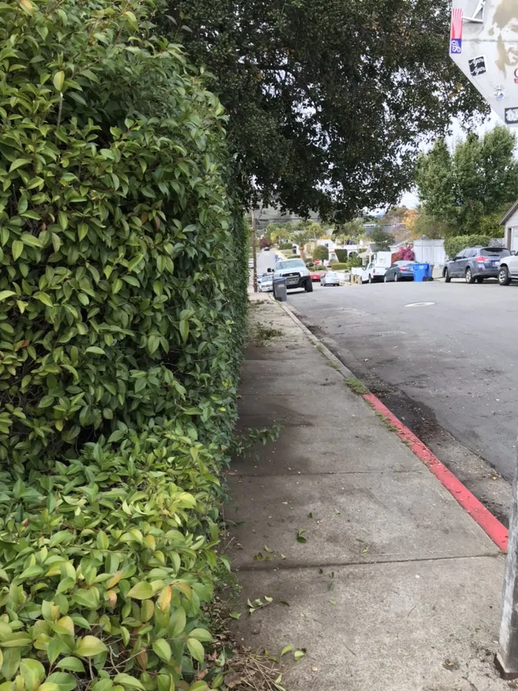 Expert lawn mowing service for homes across Los Osos, CA - Quality Hauling