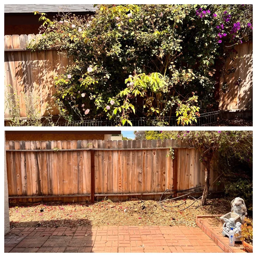 Top-rated yard cleanup service near you across Los Osos, CA - Quality Hauling