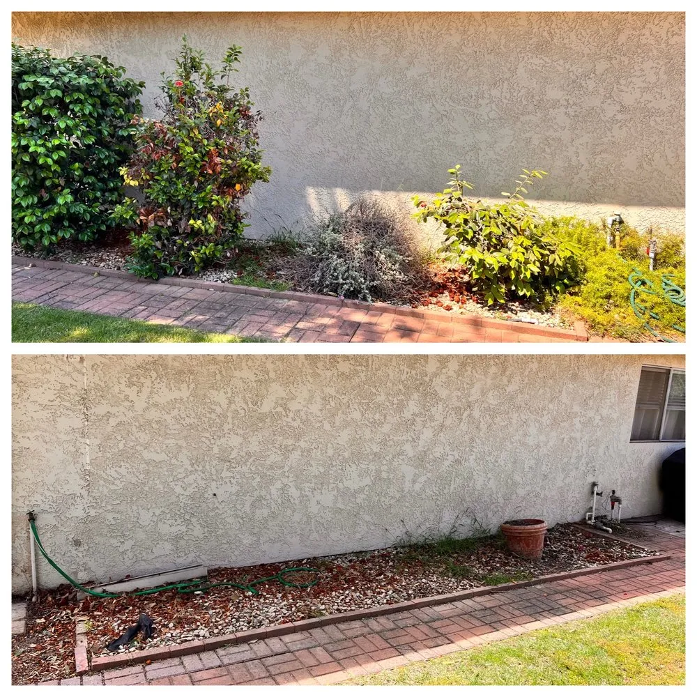 Trusted yard maintenance for beautiful yards across Los Osos, CA - Quality Hauling