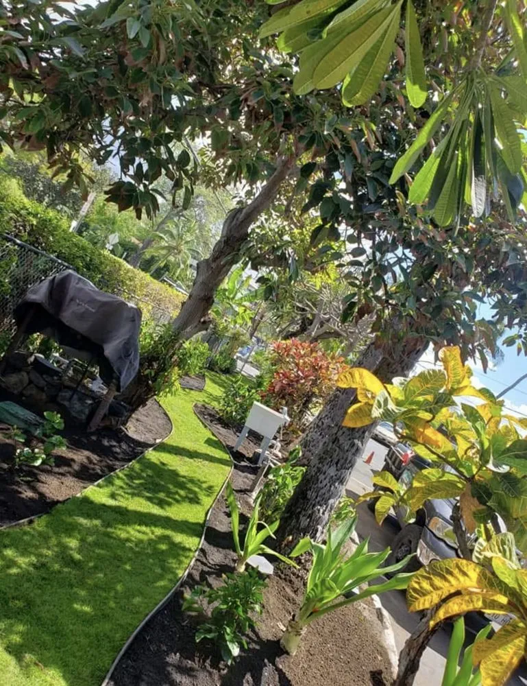 Expert landscaping services for year-round maintenance in Kalaoa, HI by Quality Hawaiian Landscape
