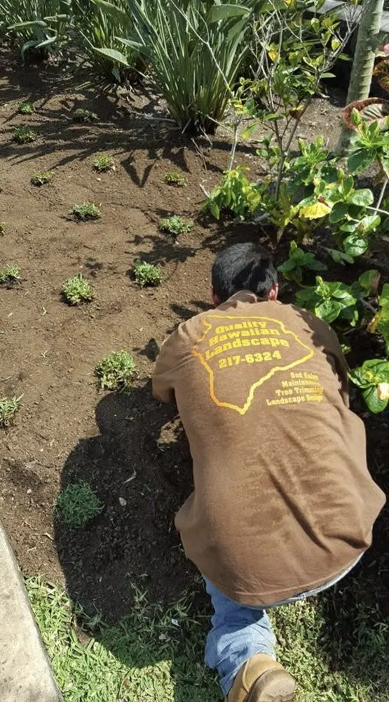 Local garden landscaping for residential properties in Kalaoa, HI by Quality Hawaiian Landscape