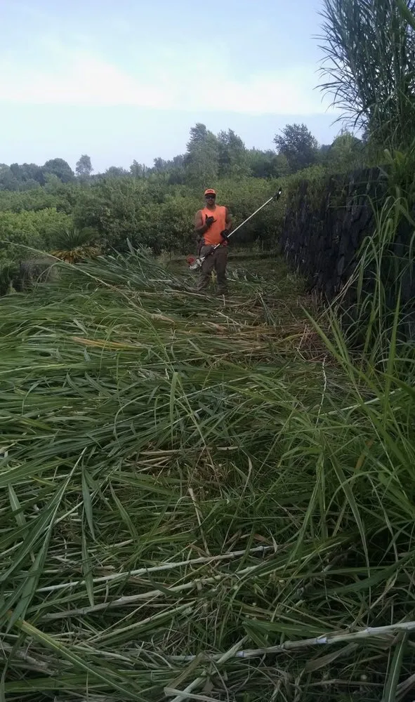Trusted yard cleanup service with custom design across Kalaoa, HI - Quality Hawaiian Landscape