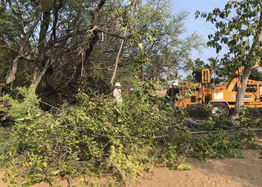 Custom lawn mowing service near you in Kalaoa, HI by Quality Hawaiian Landscape