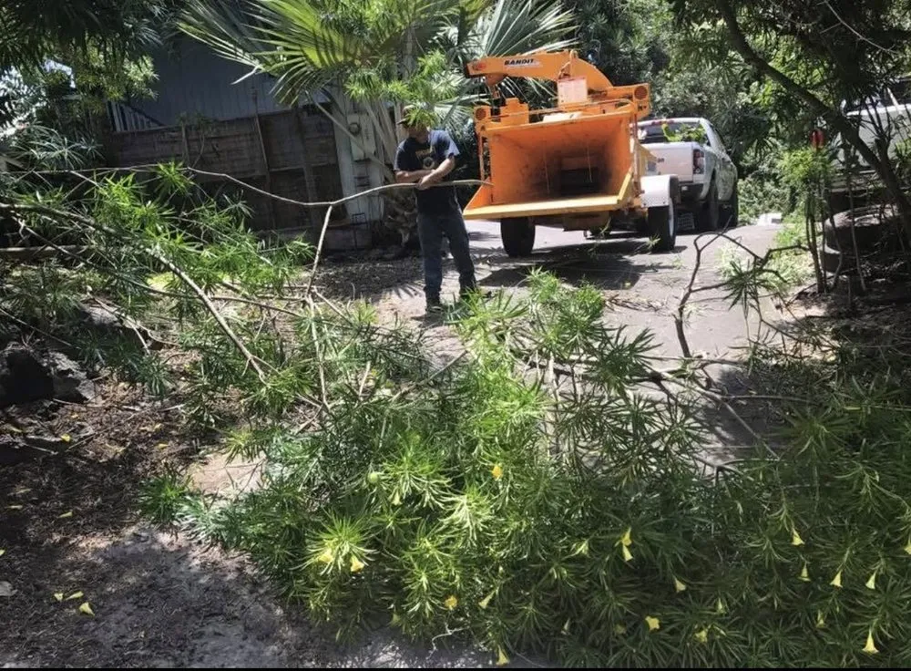 Trusted landscape design in Kalaoa, HI by Quality Hawaiian Landscape