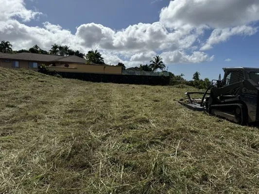 Quality Hawaiian Landscape