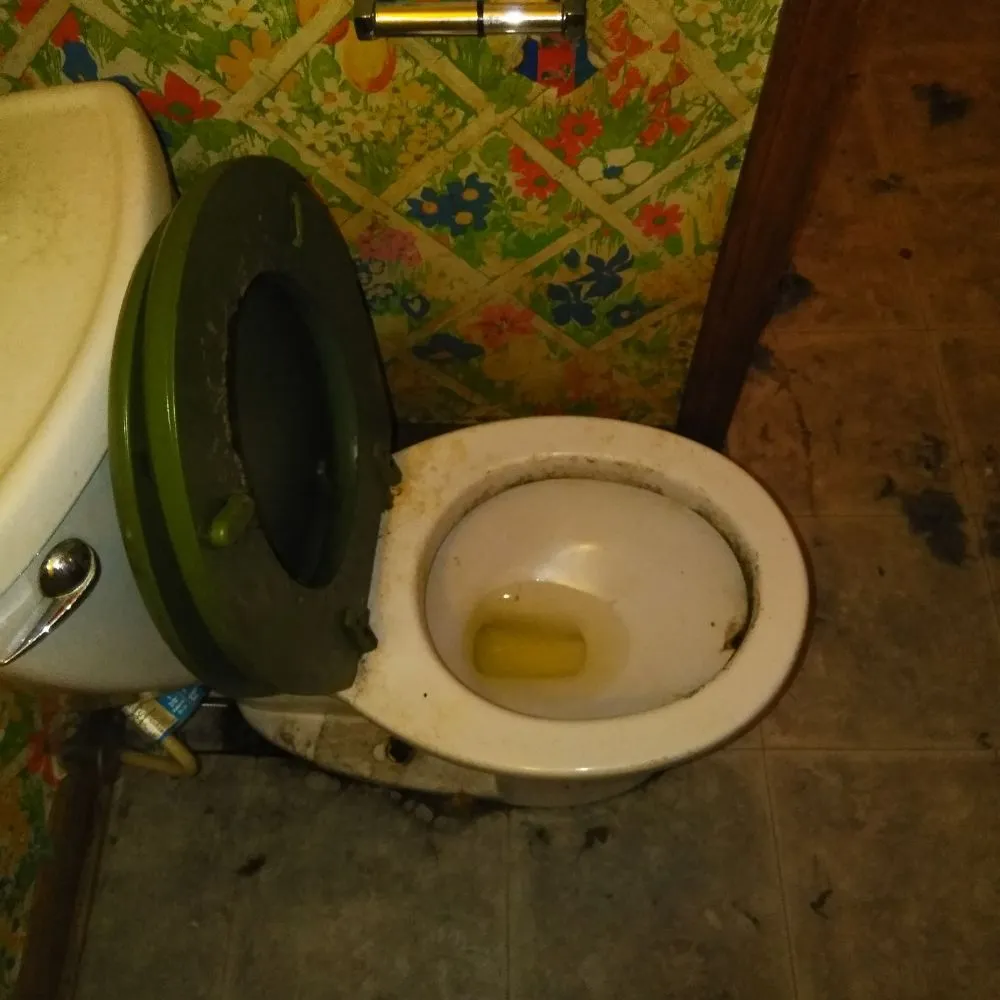 Custom landscape installation for residential properties in Hampton, VA by Quality Home Cleaners