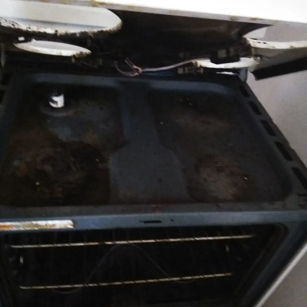 Professional garden landscaping for year-round maintenance across Hampton, VA - Quality Home Cleaners