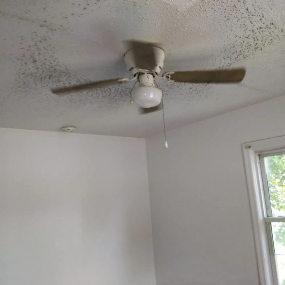 Top-rated landscaping services in Hampton, VA by Quality Home Cleaners