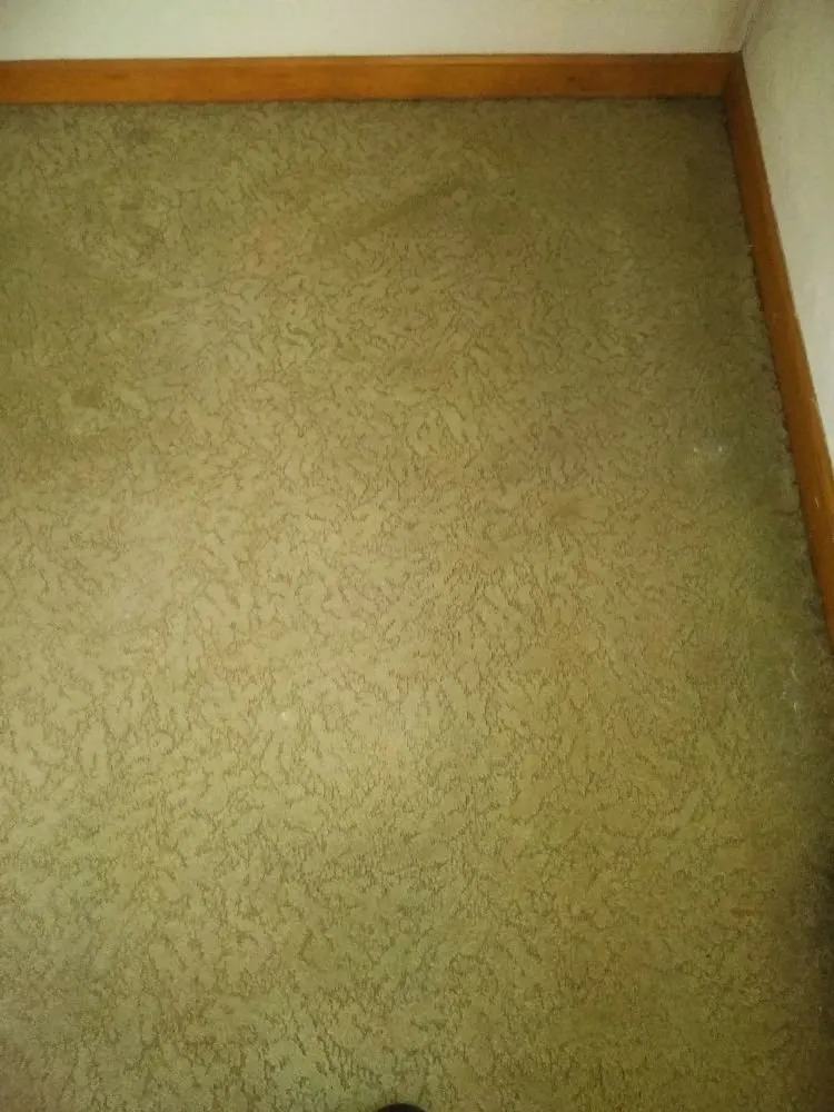 Reliable yard maintenance in Hampton, VA by Quality Home Cleaners