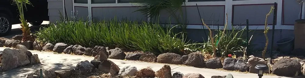 Reliable garden landscaping in Fort Mohave, AZ by Quality Home Services for Cheap