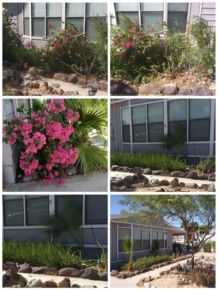 Reliable lawn care service in Fort Mohave, AZ - Quality Home Services for Cheap