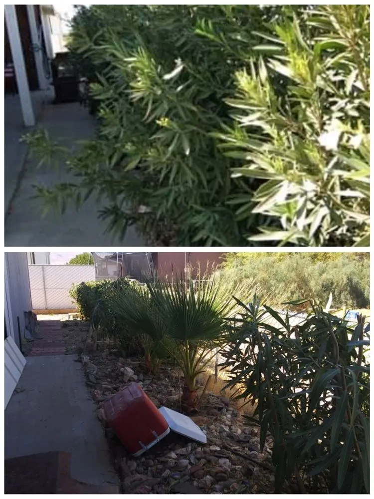 Expert yard maintenance for outdoor upgrades across Fort Mohave, AZ - Quality Home Services for Cheap