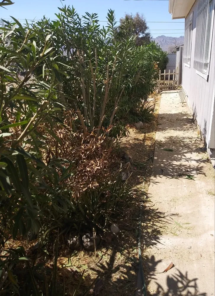 Expert landscape installation in Fort Mohave, AZ by Quality Home Services for Cheap