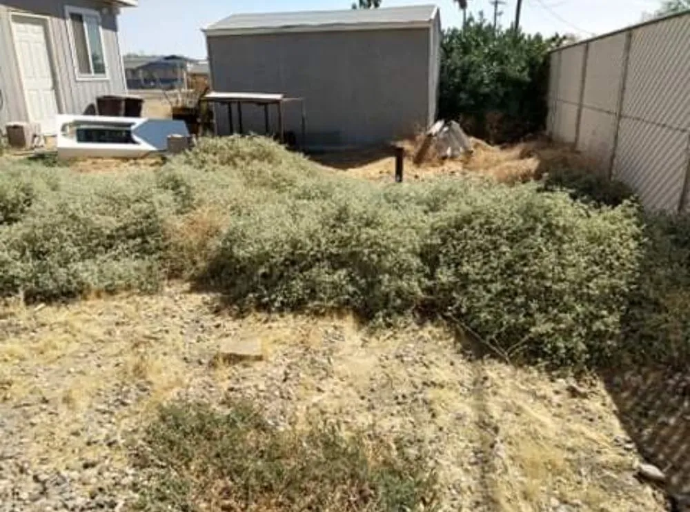 Top-rated landscaping services near you across Fort Mohave, AZ - Quality Home Services for Cheap