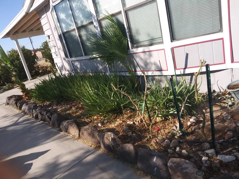 Trusted lawn mowing service for residential properties in Fort Mohave, AZ by Quality Home Services for Cheap