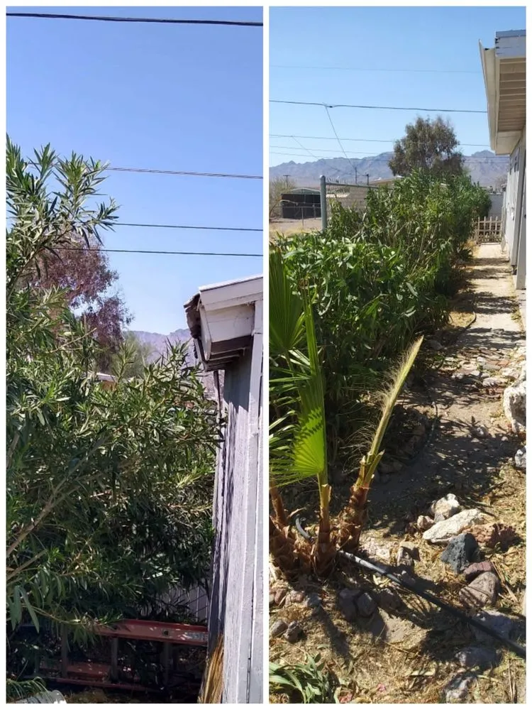 Expert yard maintenance for residential properties in Fort Mohave, AZ by Quality Home Services for Cheap