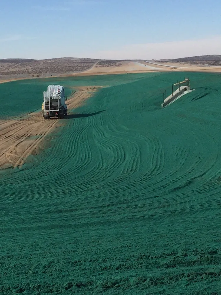 Professional yard cleanup service for outdoor upgrades across Ramona, CA - Quality Hydroseeding & Restoration