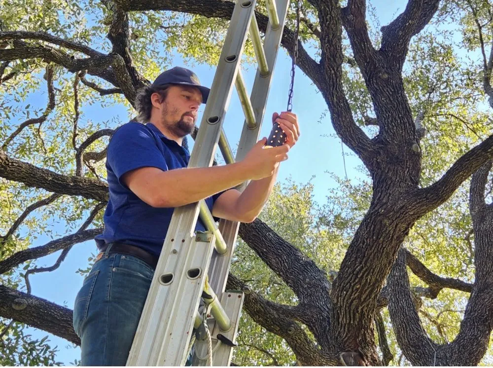 Professional landscape installation in Georgetown, TX by Quality Illuminations