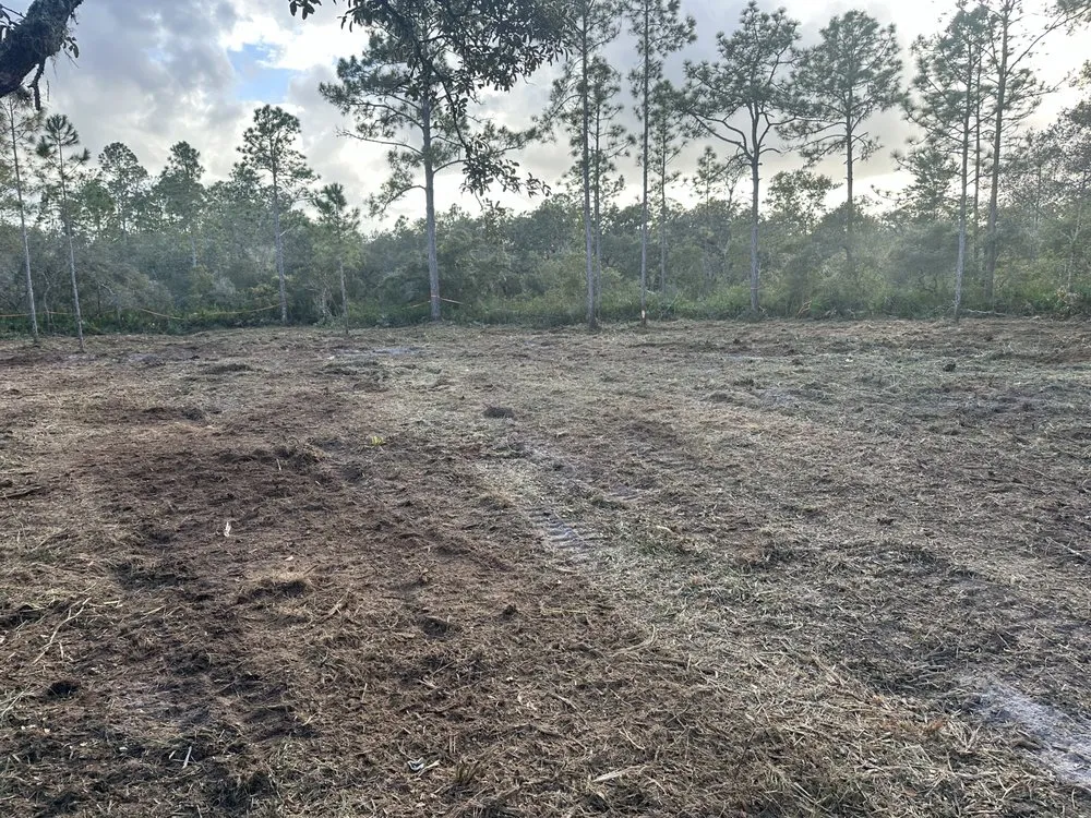 Trusted lawn care service near you in Belleview, FL by Quality Improvement Consultants