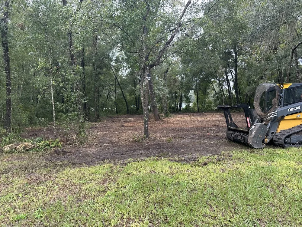 Custom landscape installation for year-round maintenance in Belleview, FL by Quality Improvement Consultants